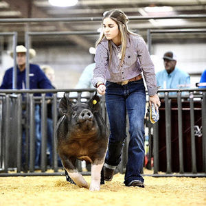 Meet your Posher, Kamryn